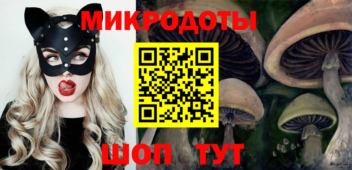 Псилоцибиновые грибы Psilocybe Москва